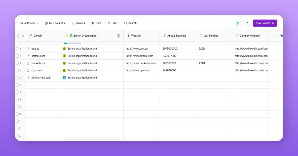 Enrich companies with firmographic and domain data preview
