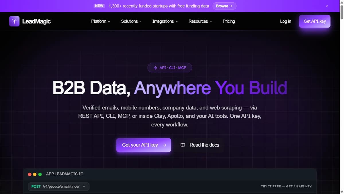 LeadMagic homepage showing budget-friendly B2B data enrichment platform