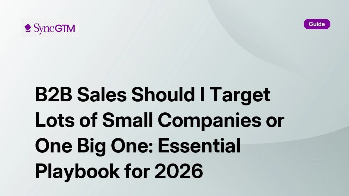 B2B sales targeting decision — many small companies vs one big enterprise