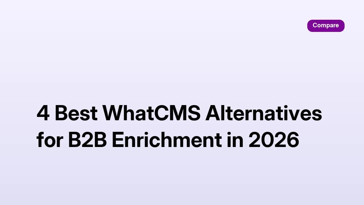 4 Best WhatCMS alternatives for B2B enrichment in 2026 — comparison guide