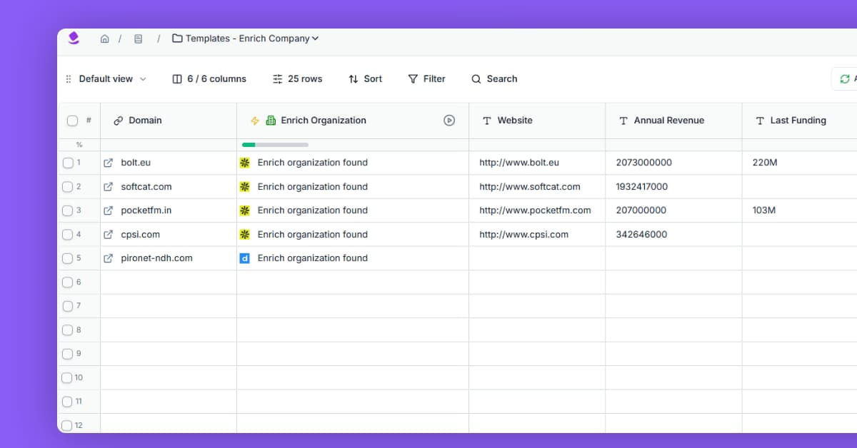 Enrich companies with firmographic and domain data template preview