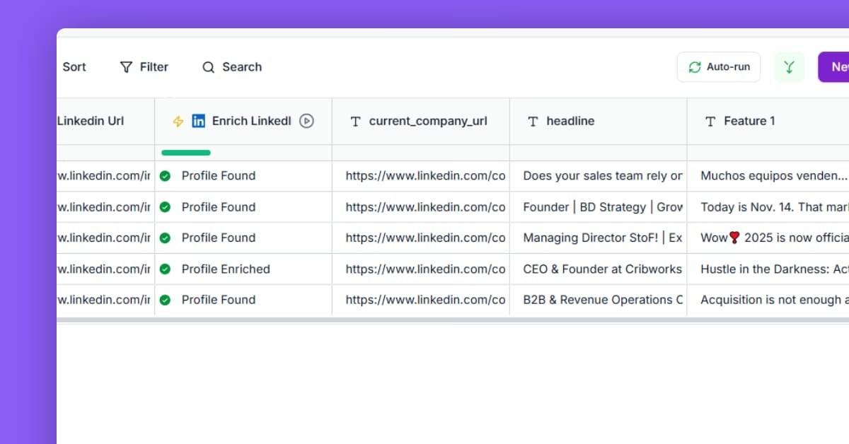 Scrape and enrich LinkedIn profiles at scale template preview