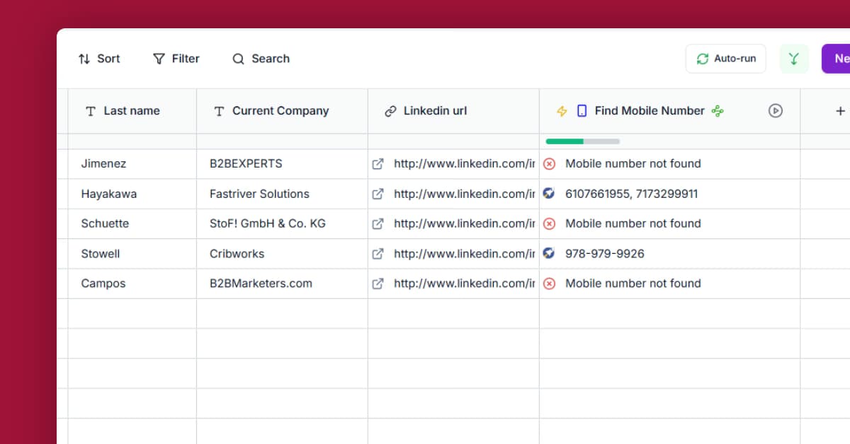 Find mobile phone numbers with Waterfall Enrichment template preview